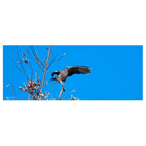 PHOTO84, CLUB, 84 , LUBERON